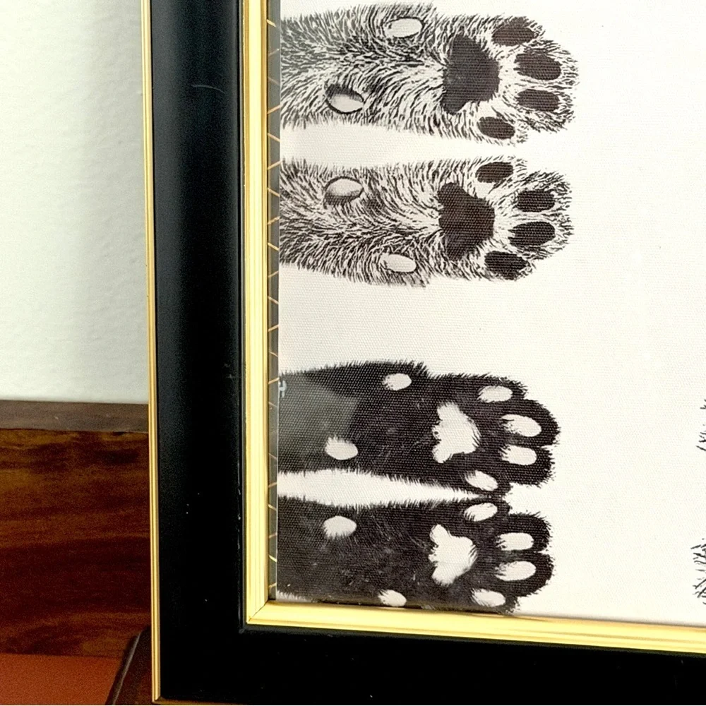 Cat Paws Kitty Feet Canvas Art Print Black & Gold Framed Wall Hanging Art Animal